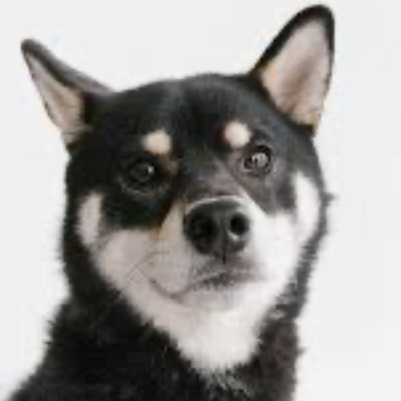 Dog/Puppy Straw Topper Fits 10mm straw, NEW - Picture 2 of 8